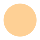 Dual Powder Compact